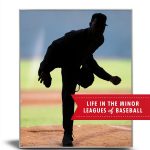 Vintage Baseball Biographies Kindle Store Book-0