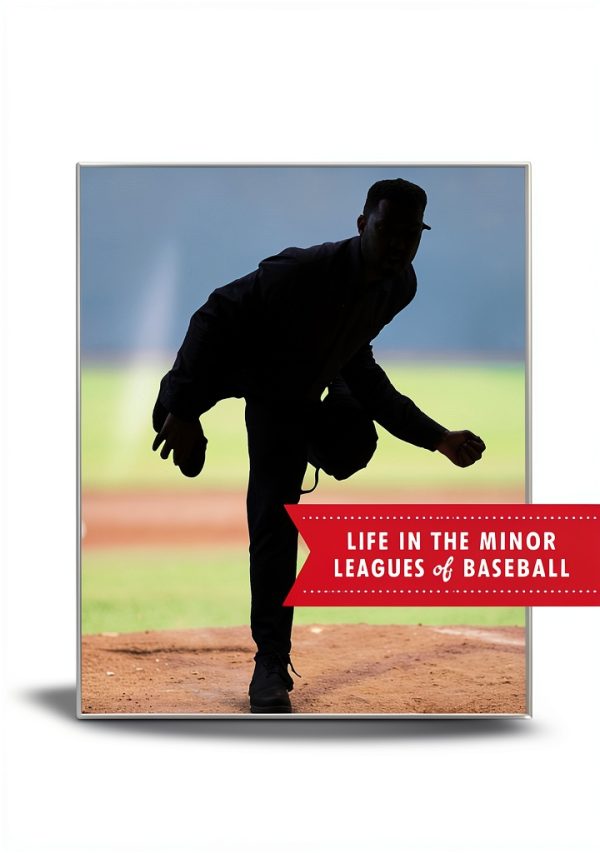 Vintage Baseball Biographies Kindle Store Book-0